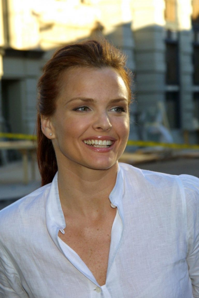 Dina Meyer No Makeup