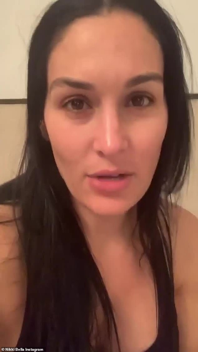 Nikki Bella No Makeup Natural Look